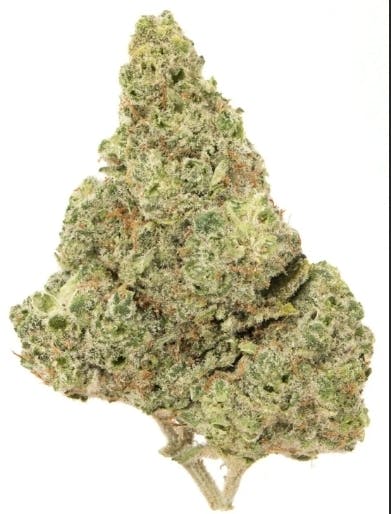 Photograph of product: $10 1g - Miami Mama - Amigos Oui'd