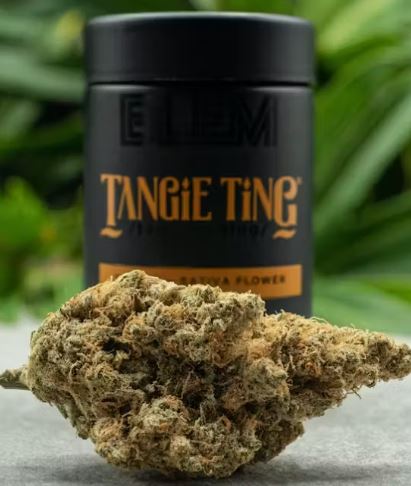 Photograph of product: TANGIE TING 10G - BLEM