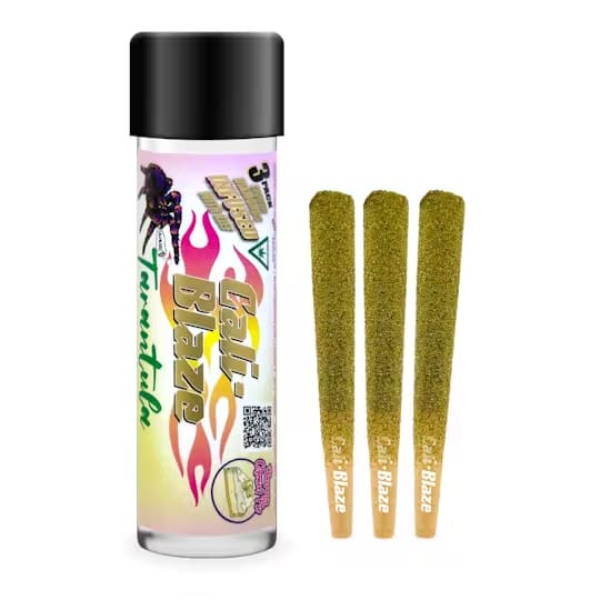 Photograph of product: Cali Blaze - Multi Pack Tarantula - Banana Cream Pie