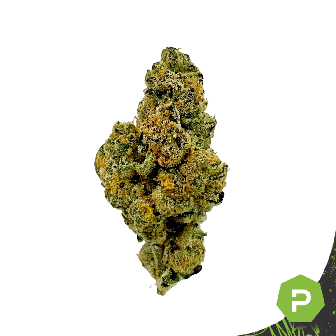 Photograph of product: Glorious | Frosted Truffle Pie - 1g