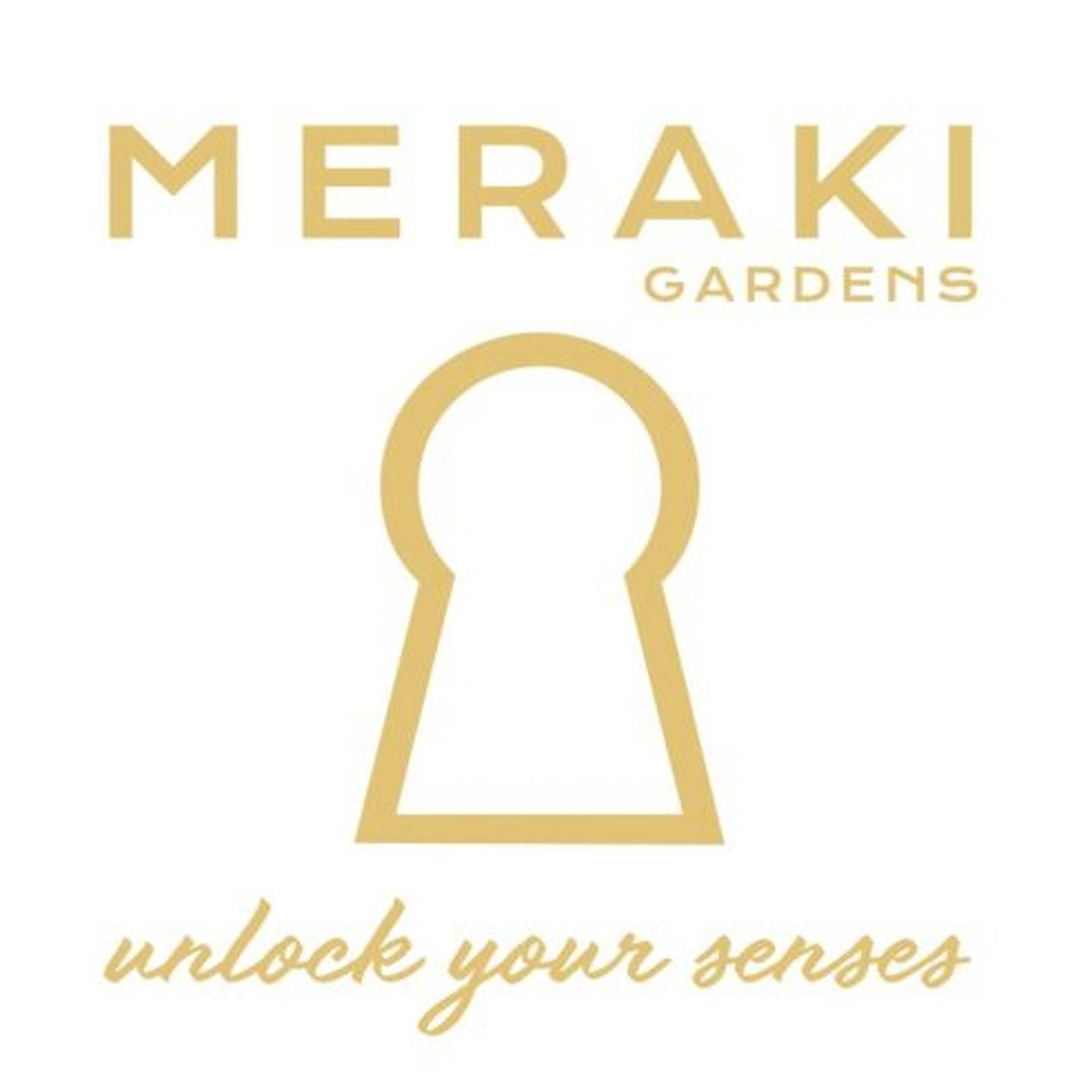 Photograph of product: CD MERAKI | Subzero ($40Q) - 14g