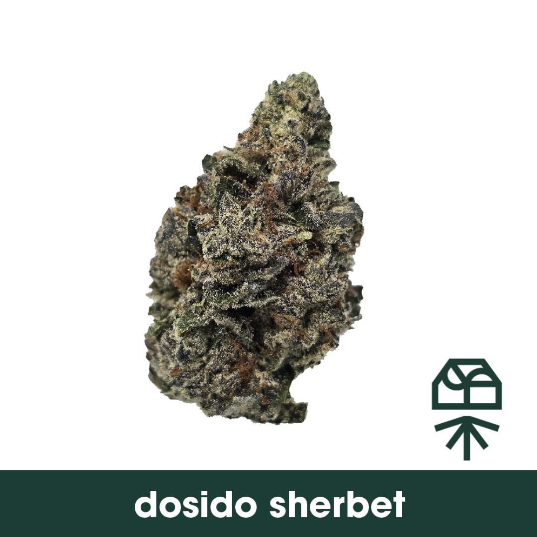 Photograph of product: Dosido Sherbert Whole Flower - 14g