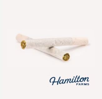 Photograph of product: Hamilton Farms: Garlic Knots | Pre-Rolls 5pk