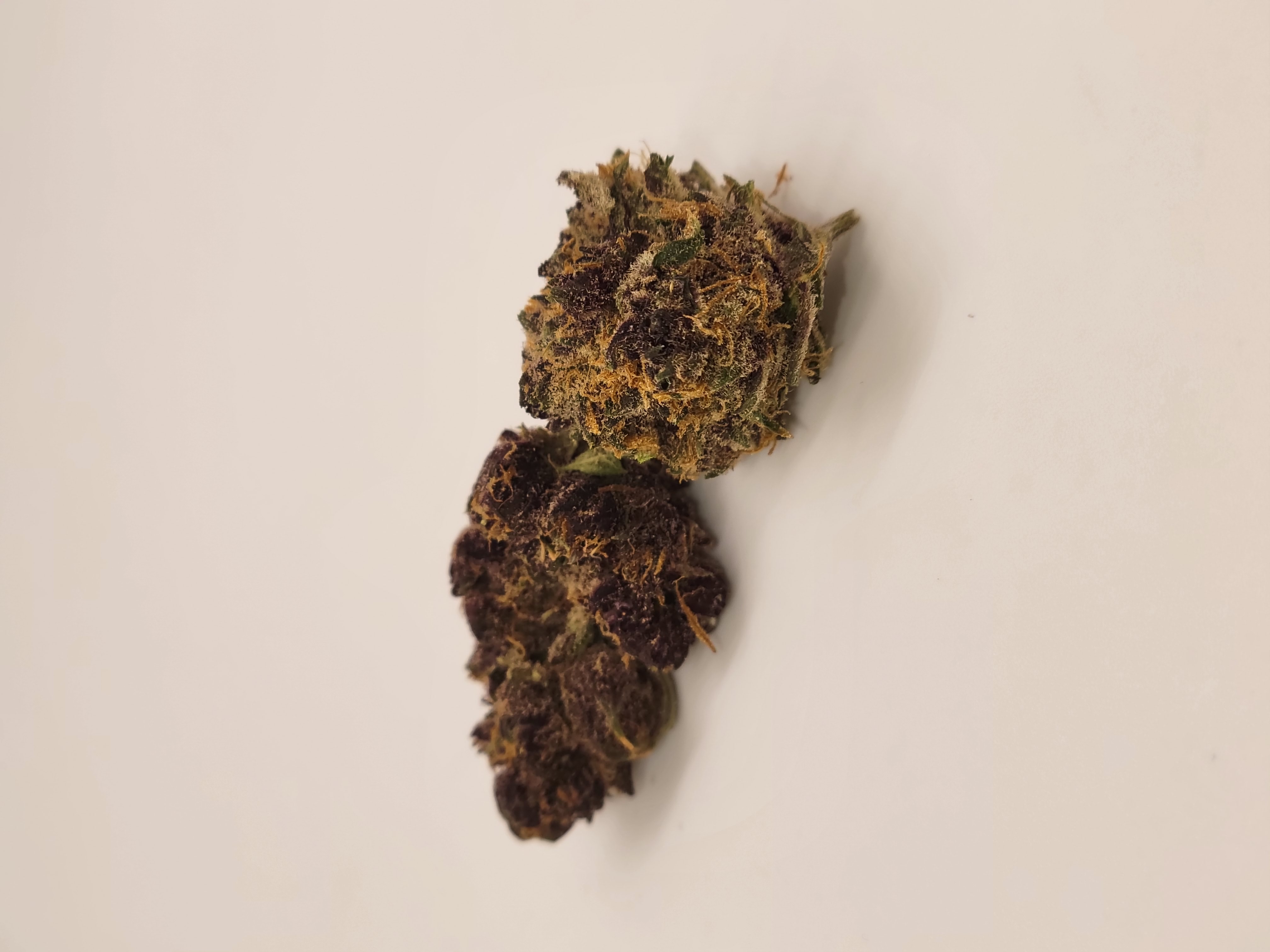 Photograph of product: 20% OFF SQUIRT OUNCE