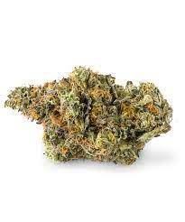 Photograph of product: Pruf Cultivar Sunshine Lime - Bulk - 28g