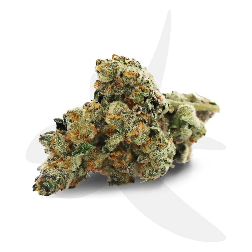 Photograph of product: Apple Fritter | Premium Deli Flower - 70g