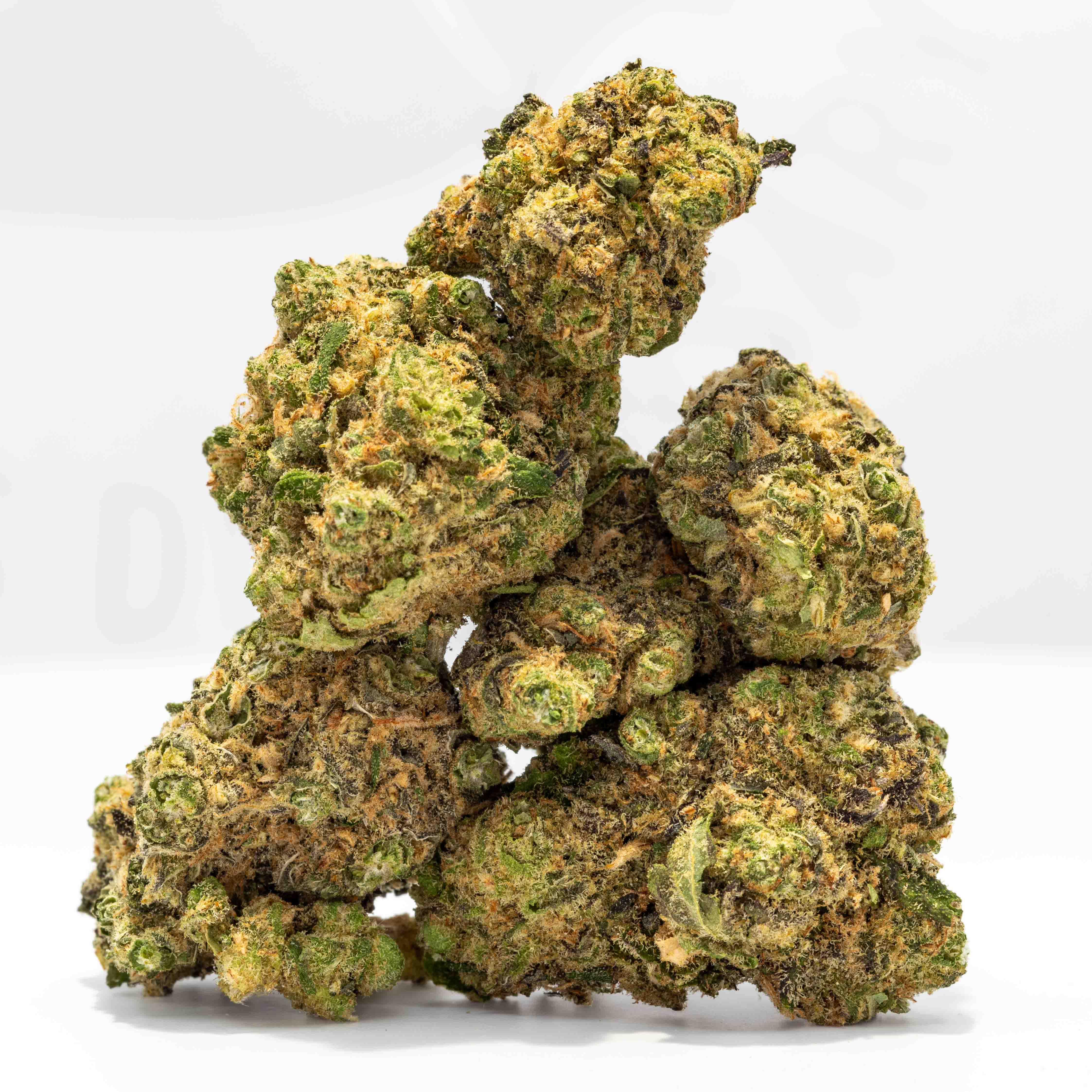 Photograph of product: Kine Garlic Tsunami (3.5g Flower)
