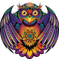 Photograph of product: Michigander Fire- Sudz - Pre Roll- 1G