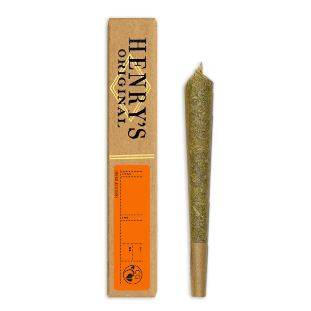 Photograph of product: TANGERINE DREAM (1G)