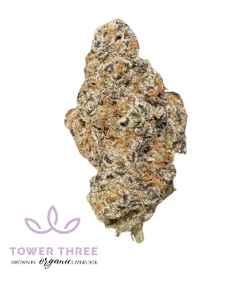 Photograph of product: Glitter Bomb | 3.5g
