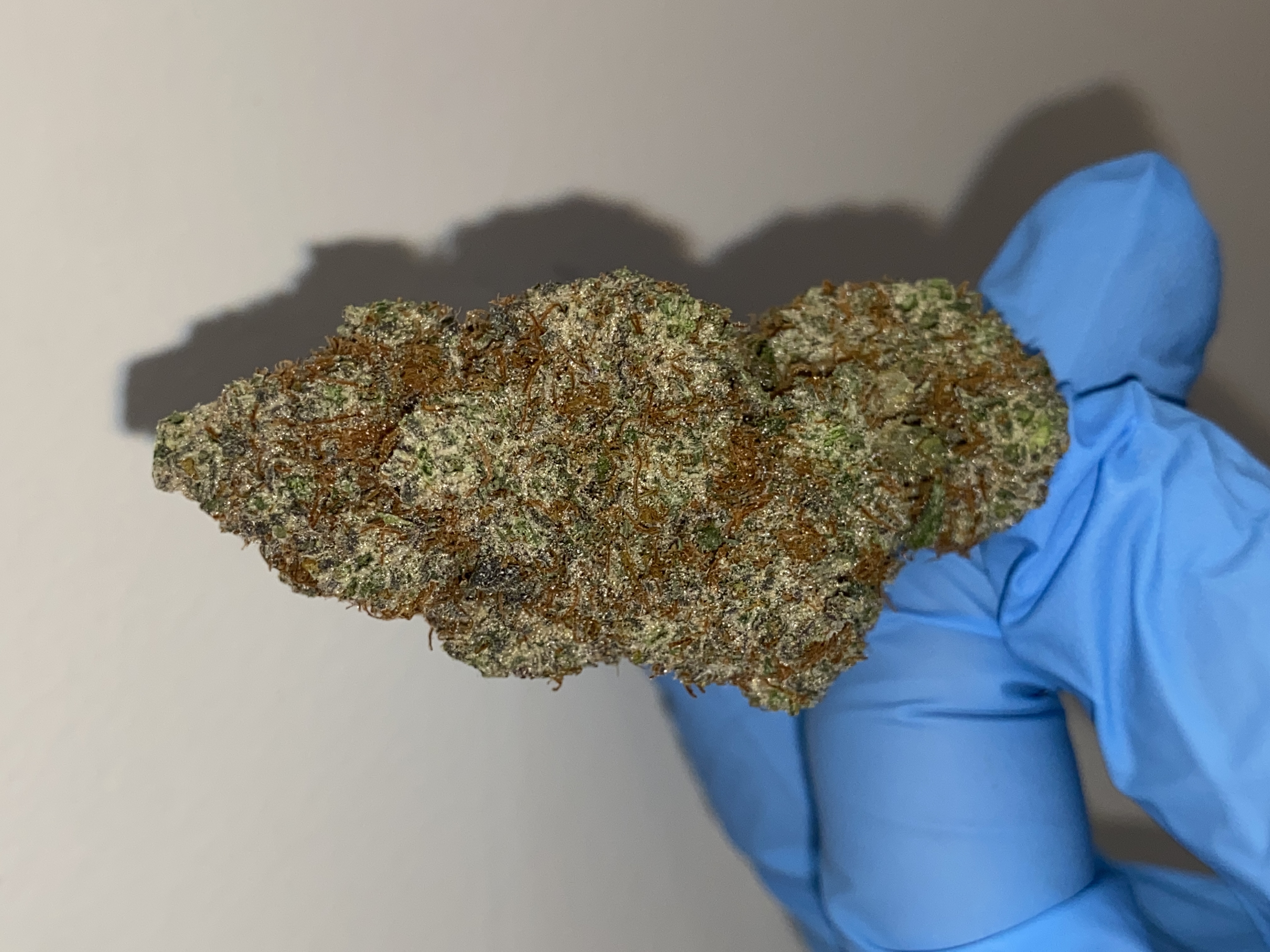 Photograph of product: Pure Michigan | Premium Flower - 28g