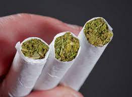 Photograph of product: OG Gardens - Dirty Shirley - Joint