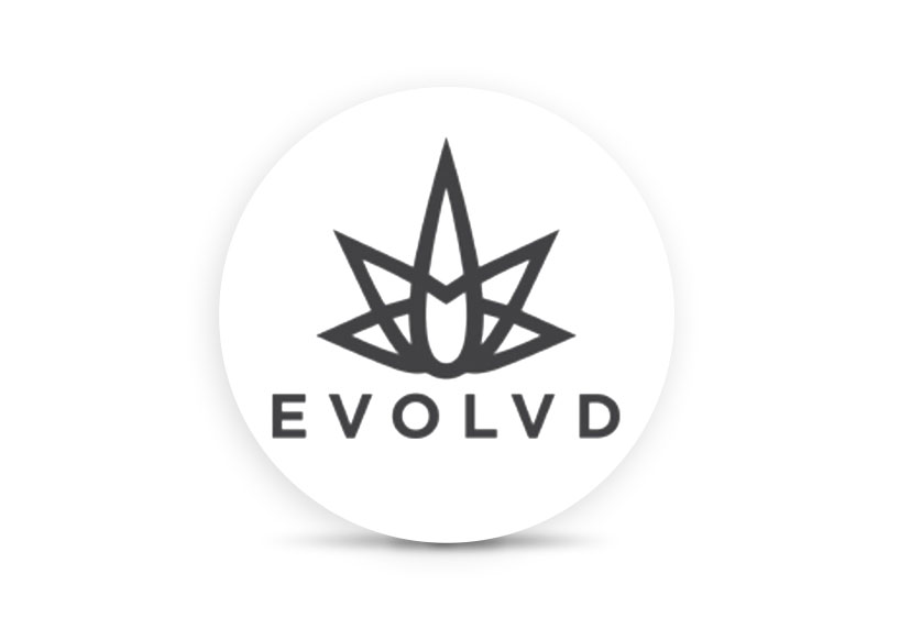 Logo for img-fluid: Evolvd