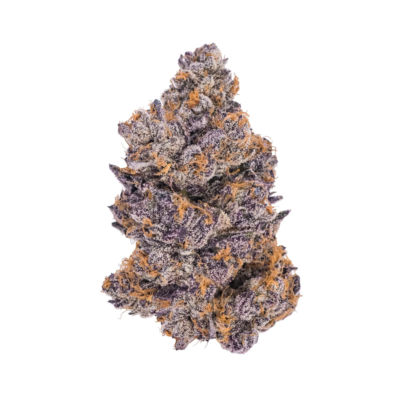 Photograph of product: BCC AGRICULTURE | BULK SHAKE TROPICANA CHERRY - 28g