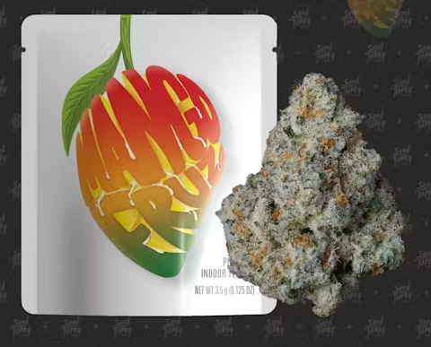 Photograph of product: Seed Junky Mango Fruz Oui'd - 3.5g