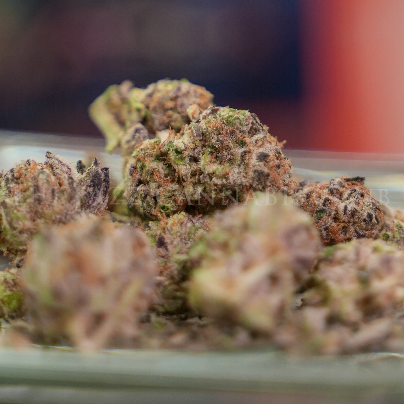 Photograph of product: Apex- Rose Gold Runtz Pre Packed - 3.5g