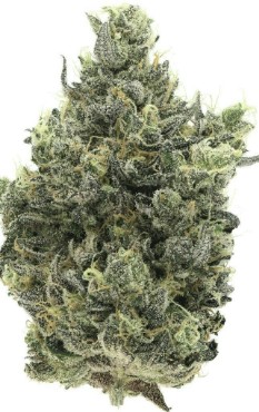 Photograph of product: 710 Labs Flower Ztan Lee #5 3.5G