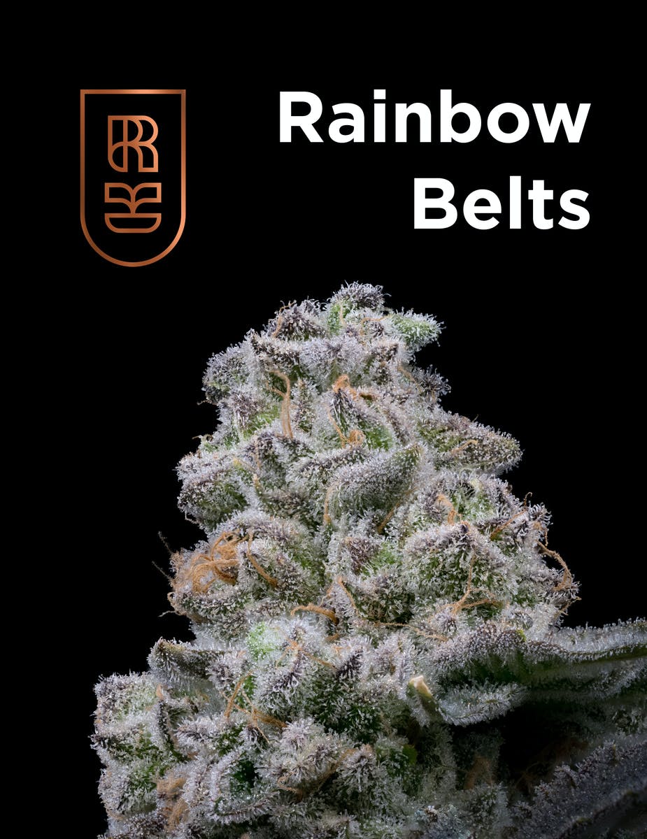 Photograph of product: Rainbow Belts 2.0 Flower