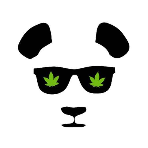 Photograph of product: Phat Panda - Panda Balm CBD 1:1 Roll-On 2500mg