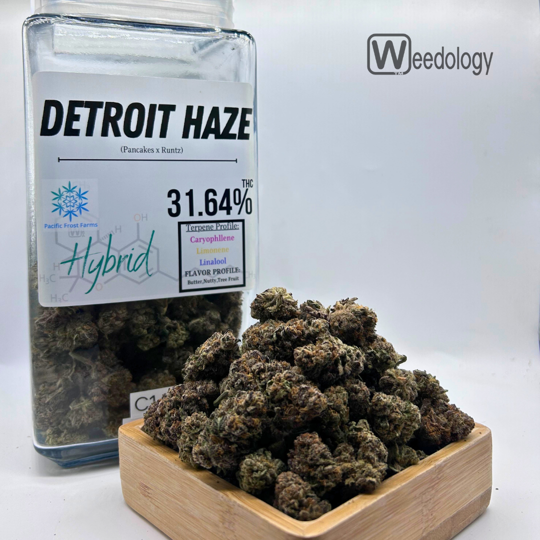 Photograph of product: Detroit Haze (H) - 28g