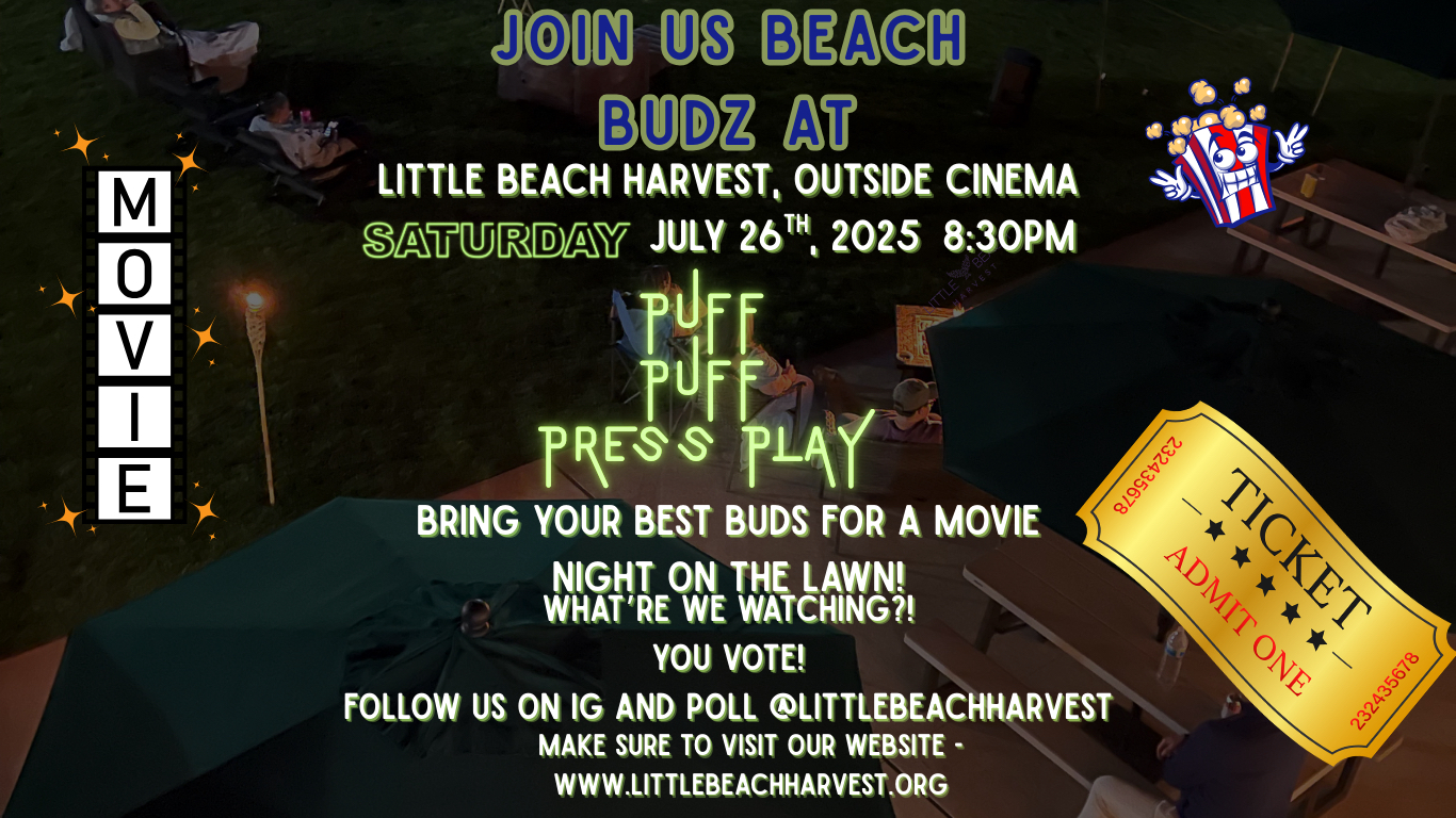 Photograph of product: LBH Movie Night