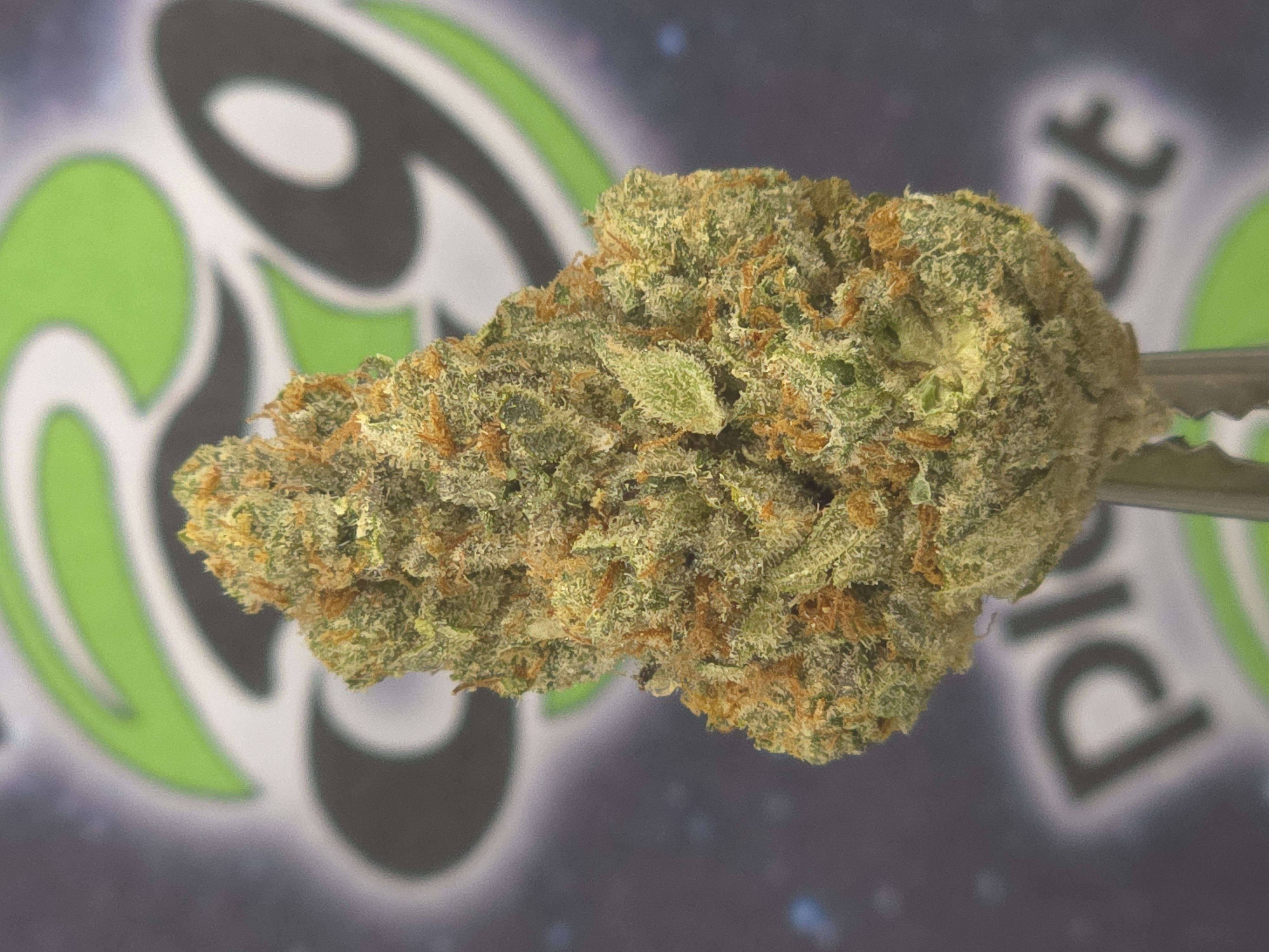 Photograph of product: Blume | Mr. Cleansoul Prepacked - 28g