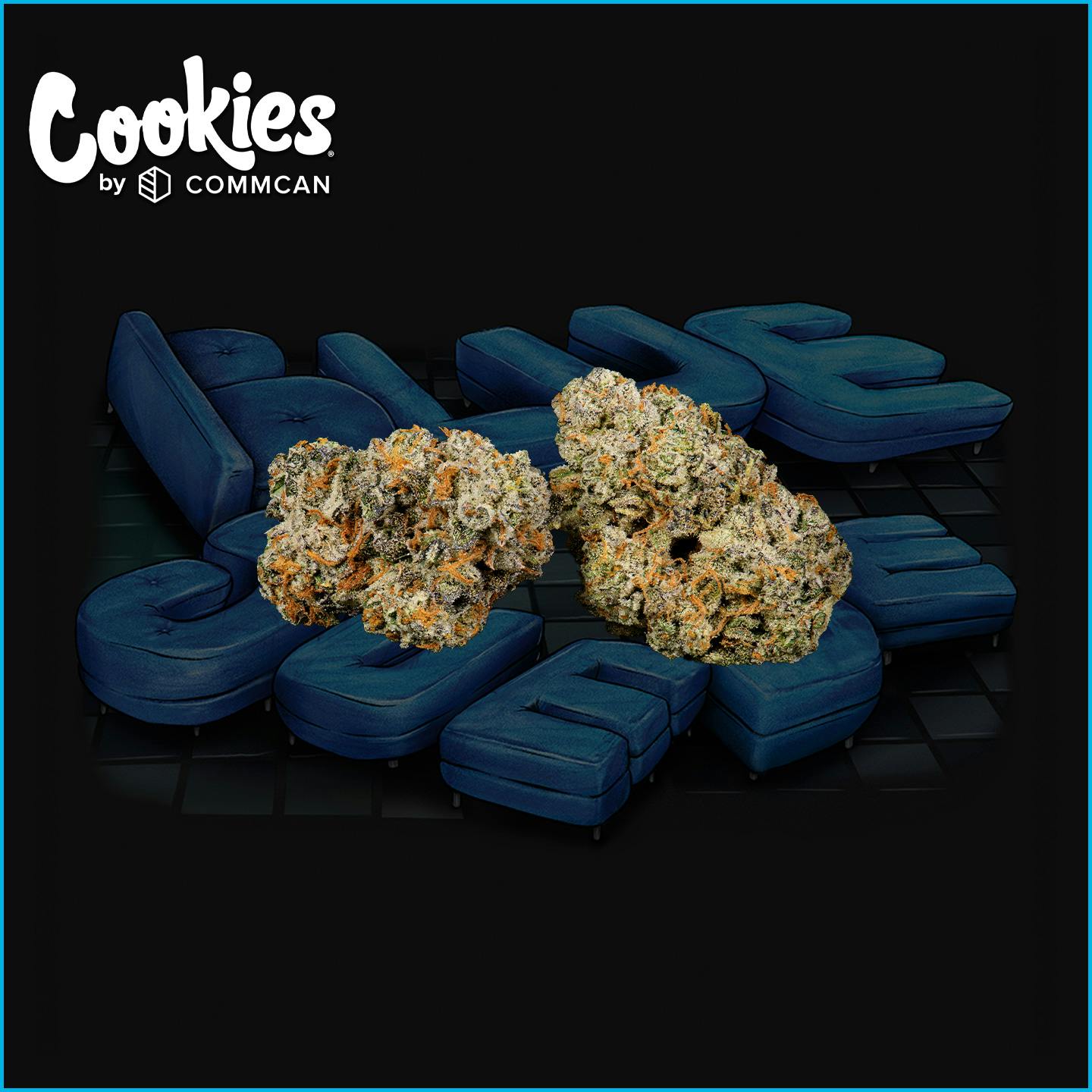 Photograph of product: Cookies Blue Suede - 3.5g