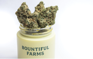 Photograph of product: Face Mask - 3.5g