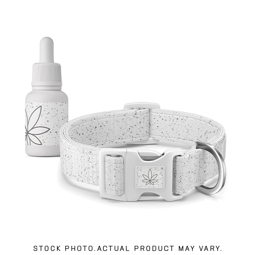 Photograph of product: Koi Dog CBD Soft Chews