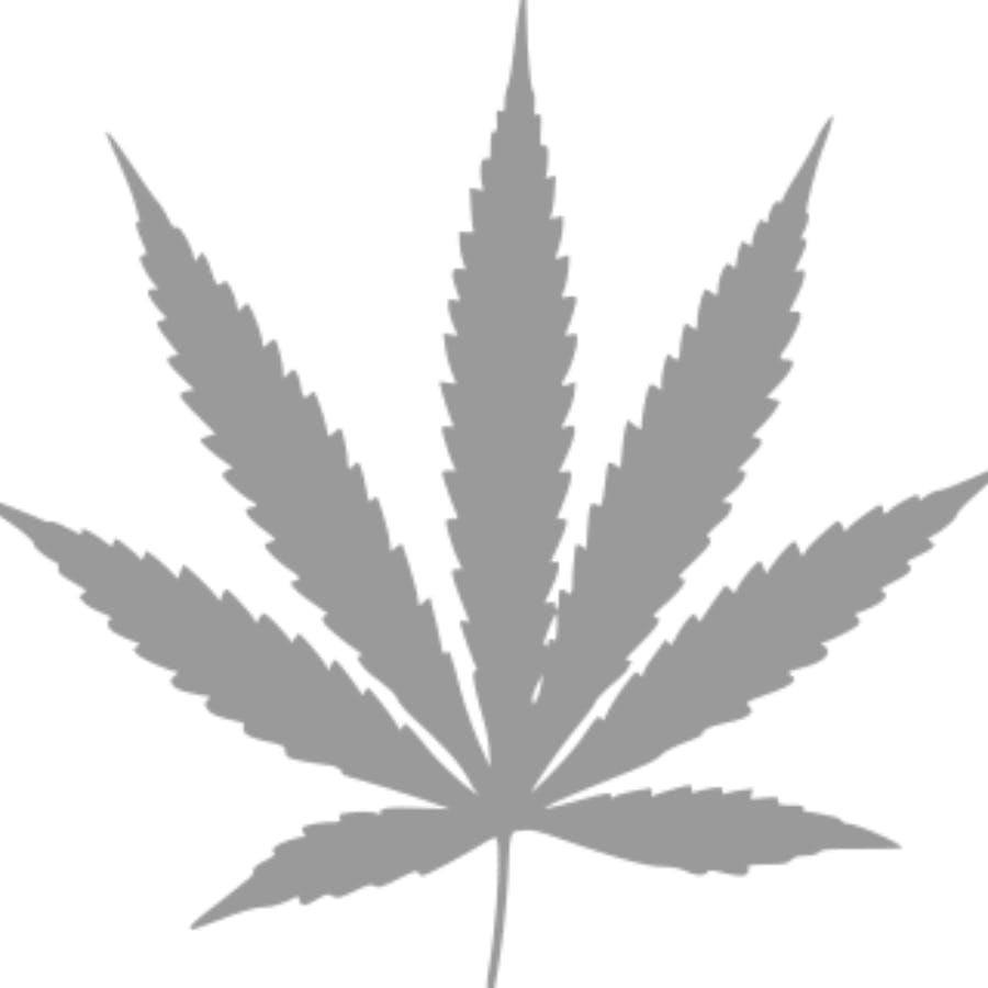 Photograph of product: Elements- Connoisseur Papers