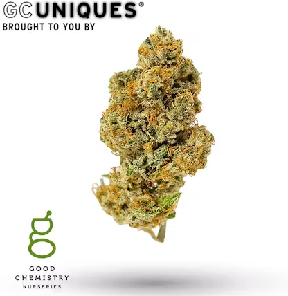 Photograph of product: Palisade Poison | 3.5g