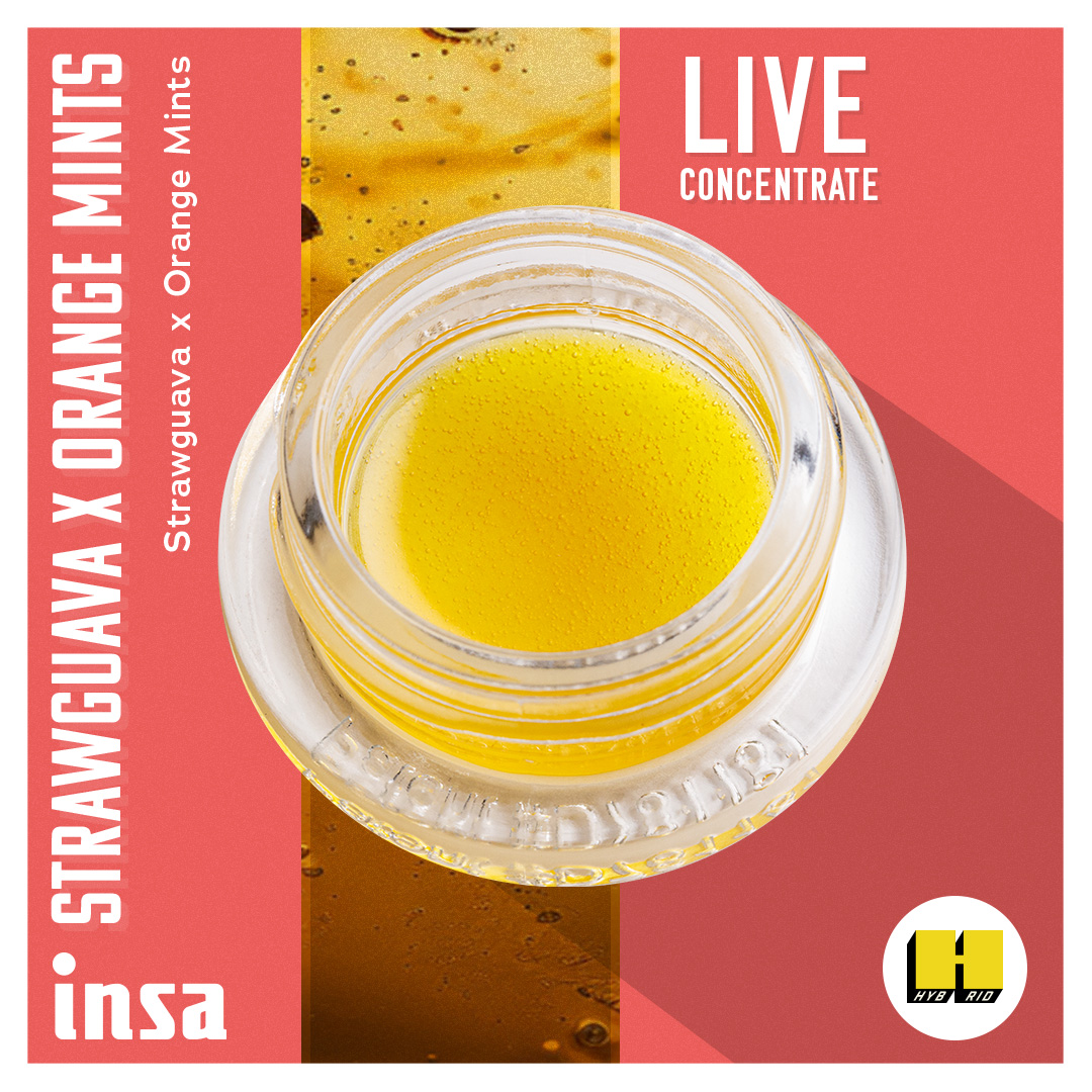 Photograph of product: Live Budder - StrawGuava x Orange Mints