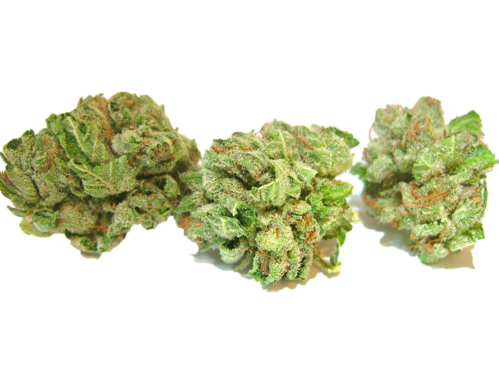 Photograph of product: Reggie | Popcorn | - Black Velvet - 1g