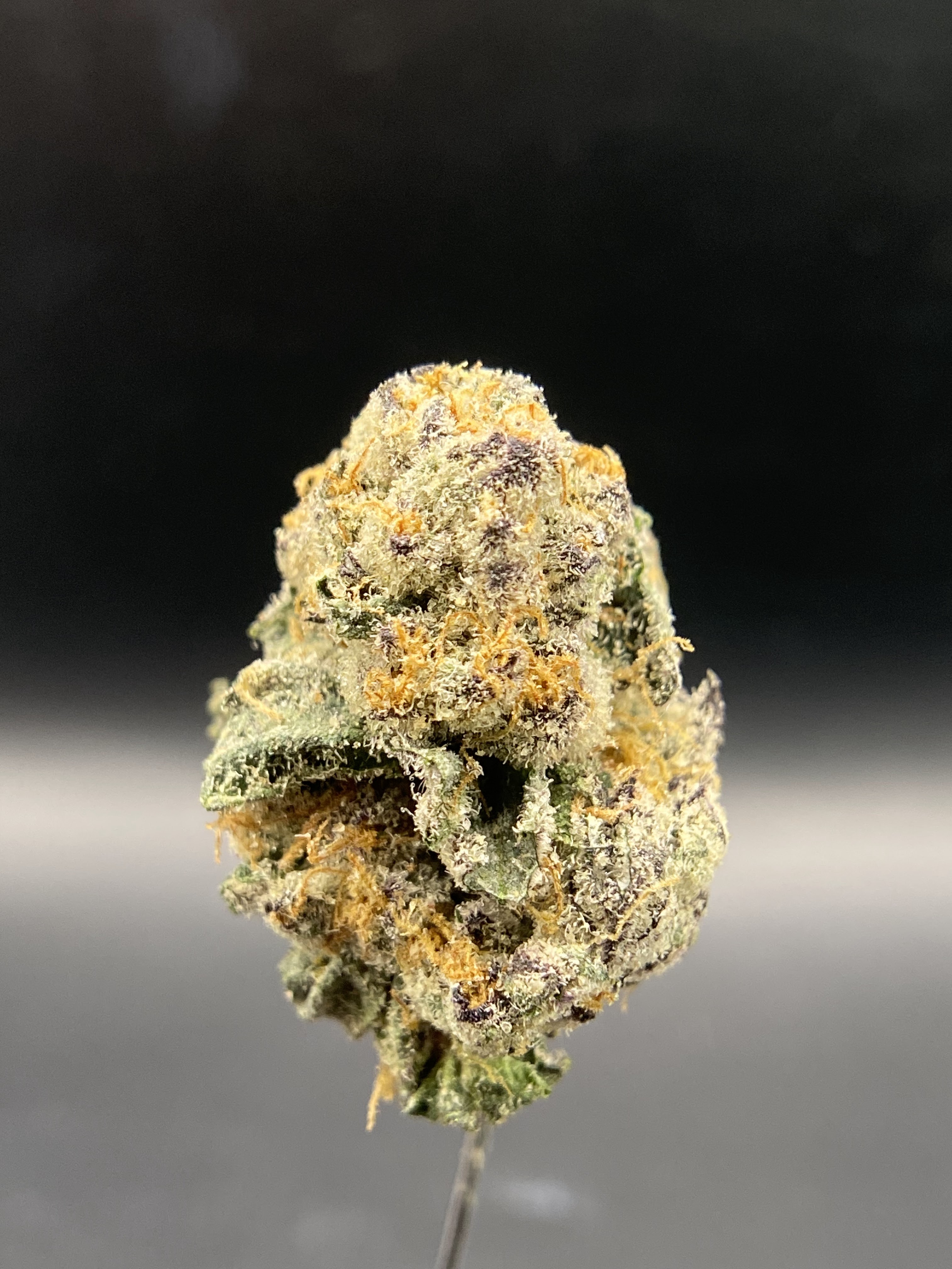 Photograph of product: Growing Up | Sugar Cane | $90 OZ - 28g