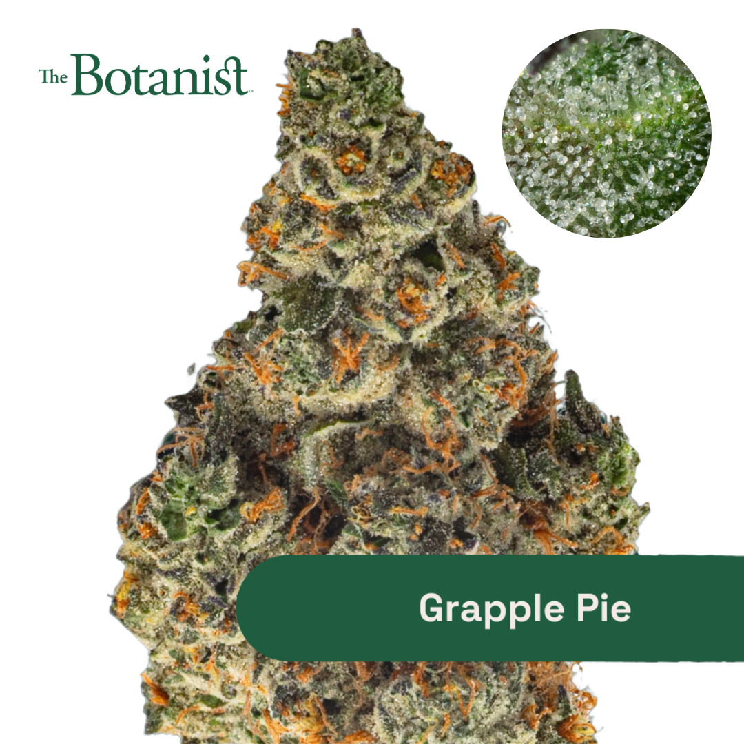 Photograph of product: Grapple Pie - 14g