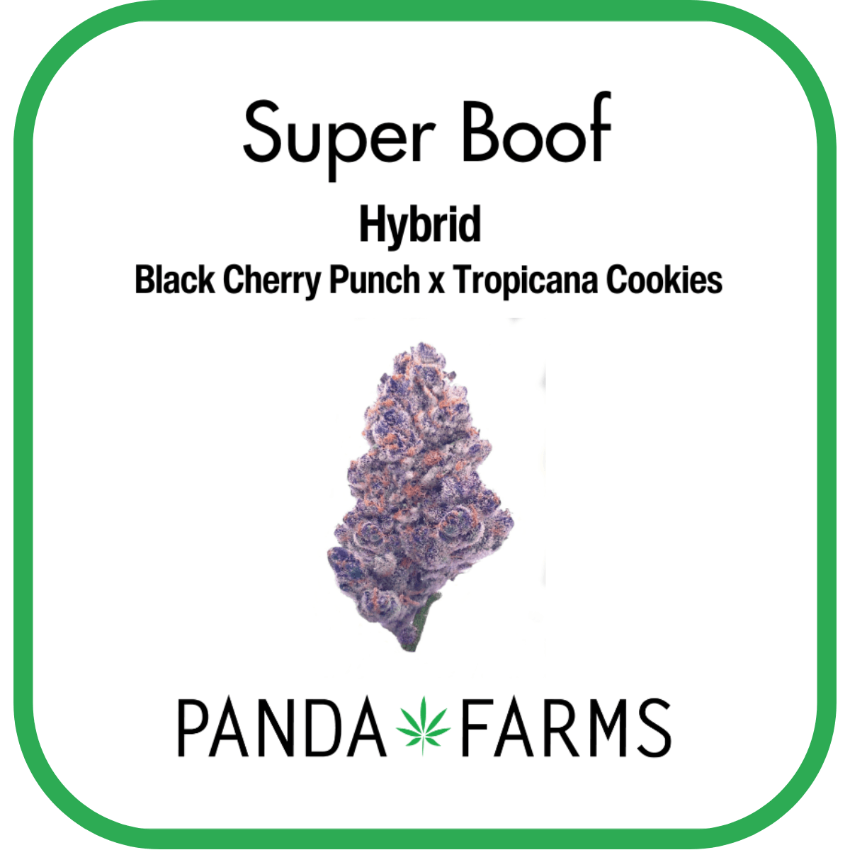Photograph of product: Super Boof | 3.5g