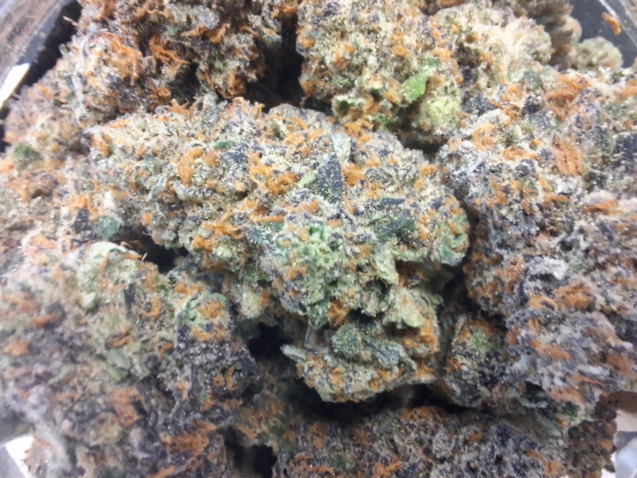 Photograph of Product: Purple Milk | Uncle Wayne's Finest - 28g
