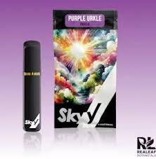 Photograph of product: Skyy | Disposable | Purple Urkle