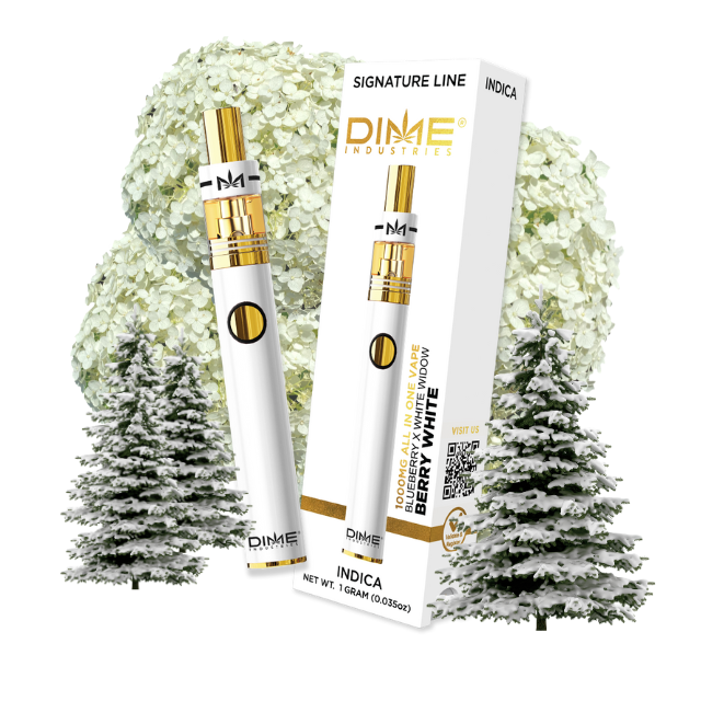 Photograph of product: Dime | Berry White | 2g Disposable Vape