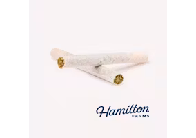 Photograph of product: Kiwi Kandy | Pre-roll | 2pk