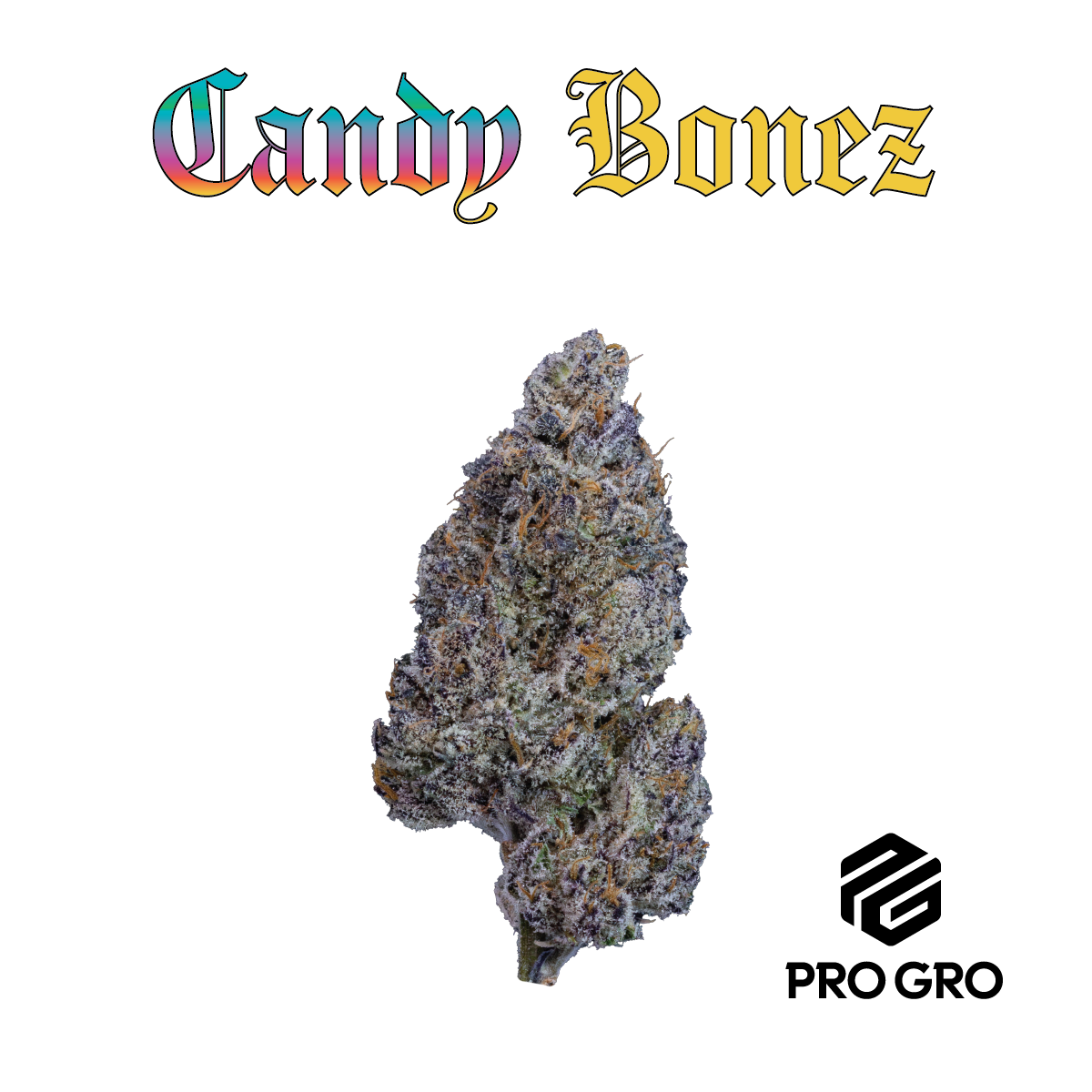 Photograph of product: Candy Bonez | Deli - 1g