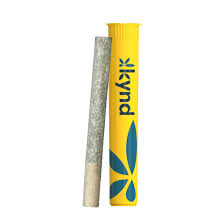 Photograph of product: Kynd Pre | Poinsettia Fizz | 1g (Hybrid)