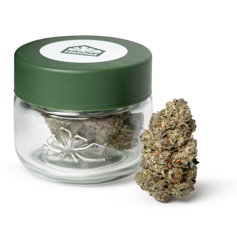 Photograph of product: Frosted Flakes - 3.5g
