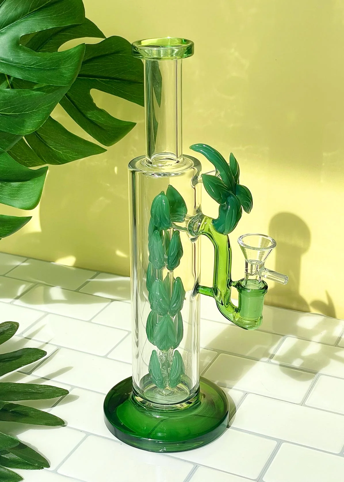 Photograph of product: Canna Style | 11" Terranium Plant Bong