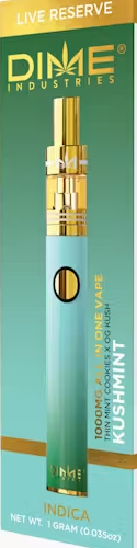 Photograph of product: DIME Industries Kushmint LR Disposable Vape
