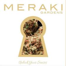 Photograph of product: Meraki - Dr.who (6pk)