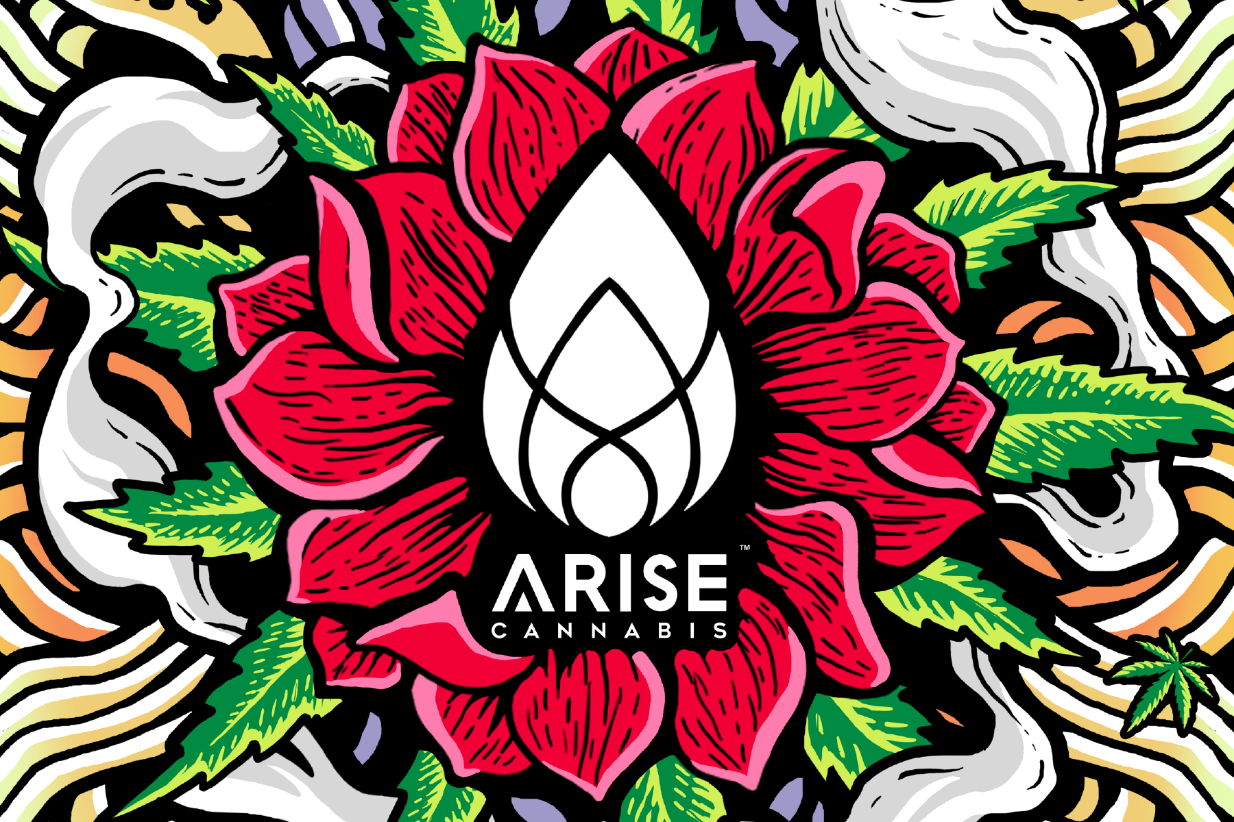 Photograph of product: College Park By Arise - 28g