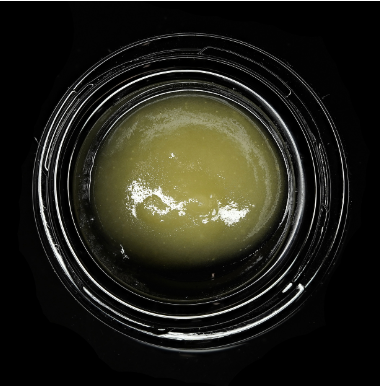 Photograph of product: Wojo - Live Rosin - Wojo Mints