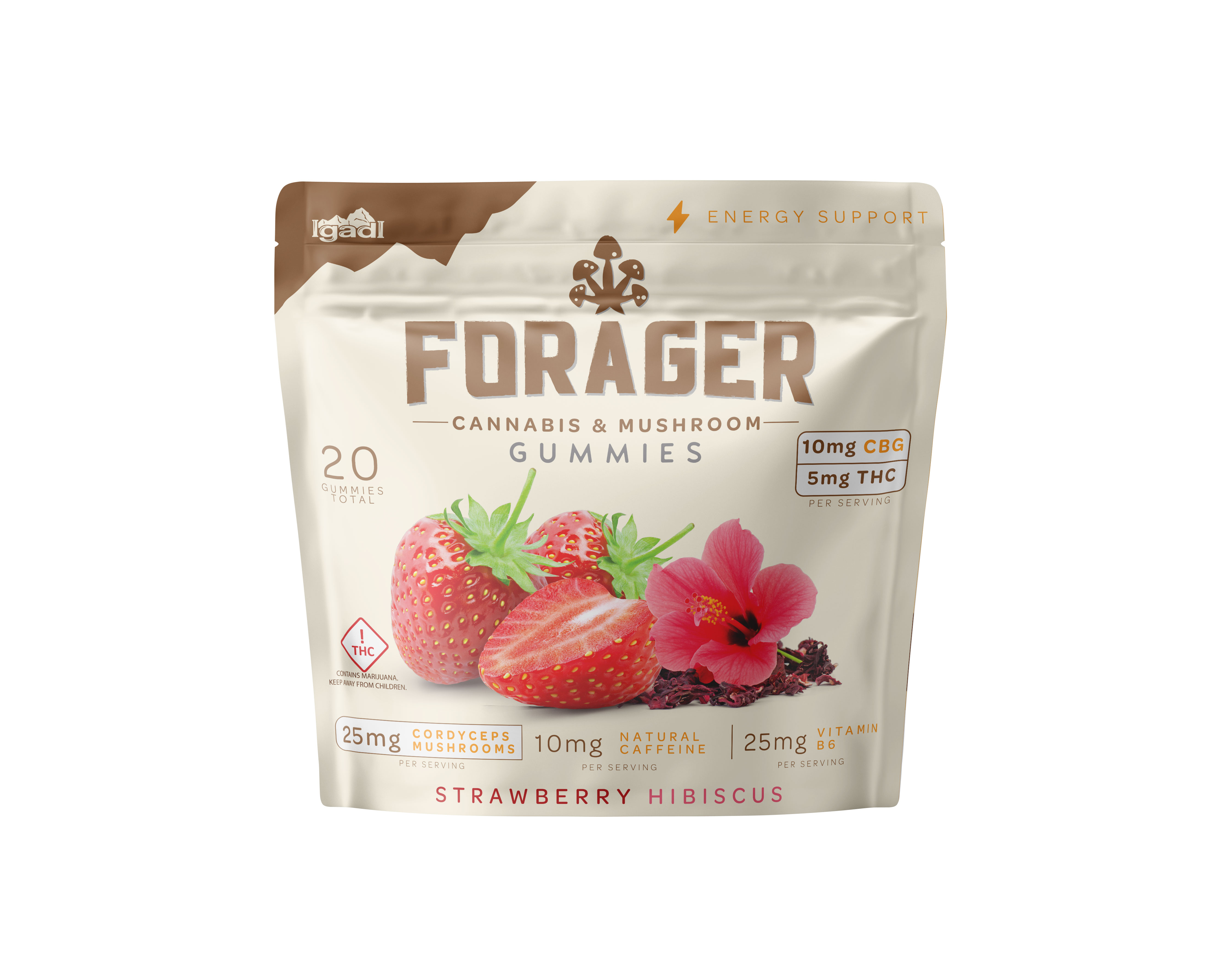 Photograph of product: IgadI | Forager Energy Gummies | Strawberry Hibiscus 2:1 (TH-oui/CBG)