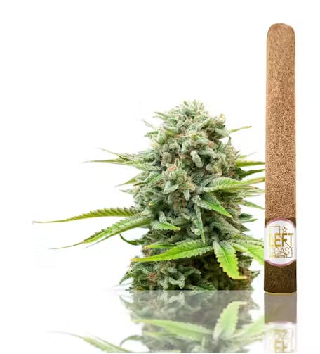 Photograph of product: Lefty's - Infused blunt Roll- Maui Wowie- 2.2g - 